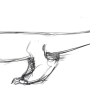image1.png